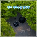 운문로 | 청도 계곡 캠핑 명소 약초농원캠핑장에서 즐긴 힐링 캠핑(사이트 정보)