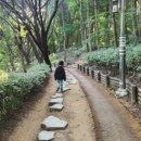 현충근린공원(유아숲체험장) 이미지