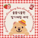 율봄식물원 딸기체험 예약 가격 후기 6세 아이 방문 팁 정리