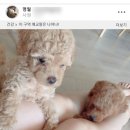 요이컴퍼니 이미지