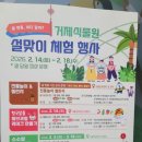 숲의 이야기를 들어볼래? | 거제도 가볼 만한 곳 추천: 웅장한 실내 온실 거제식물원 정글돔 관람 후기