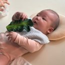 캐롤커피 | [백일선물 추천] 귀여운 아기 치발기 ‘올리앤캐롤 케일,수박, 바나나, 토마토‘