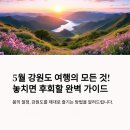 5월 강원도 여행 추천 코스 TOP8 | 드라이브·맛집·사진 명소까지 완벽 가이드 🌿