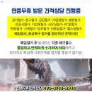 일진쉐르빌 이미지