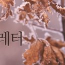[KHIDI] 보건산업진흥원 의료기기산업 주간뉴스레터- 제346호 이미지