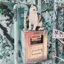 [전주] 당일치기 패키지 여행 후기(임실 옥정호 | 전주 한옥마을 | 전주수목원 | 버스사고)