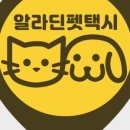 펫택시 이미지