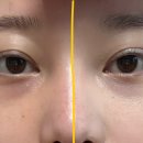 렙톤 | 레오제이톤업크림 올데이프렙톤업베이스크림후기