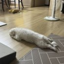 은서농장 | 2026 06