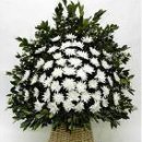 해람어린이집 이미지