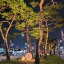 반야월삼거리 이미지