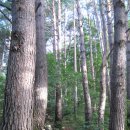 오투(O2) 이미지