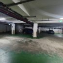 한프로실내테니스