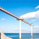 청명 141 이미지