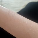 세븐일레븐 영통9단지점 | 영통역다이어트 "더마름다이어트" - 체지방 및 순환 바디디톡스 관리 전문 더마름 TM핏 관리 후기