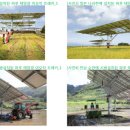 해바라기태양광 이미지