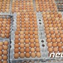부부축산물유통