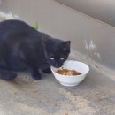 안정쇼핑로 이미지