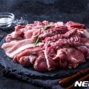 종가숯불뒷고기 이미지