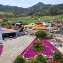 선학농장 이미지