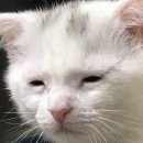 한서목장 | 2024년 1월~ 다시 20대루~