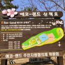 에코랜드수영장 축구장 이미지