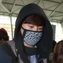 호야인터내셔널
