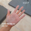 거북공원(주정차폴) | 4월 둘째주 일상&amp;가계부. 눈밑지 상담. 도산공원 봄마실