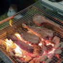 야호캠프 이미지