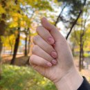 단비공원 | [네일 후기] 바르다 네일 단비 원장님- 배곧네일추천!