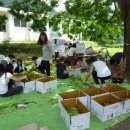 세성초 공이분교 이미지