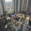 신연초등학교 이미지