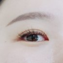 연 아이래쉬 네이버블로그