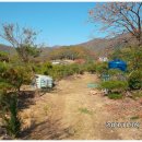 안곡농장3 이미지