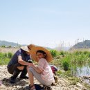 코끼리 관광농원 이미지