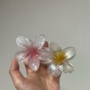 중앙우체국 | 베트남 호치민 여행 코스 추천 사이공 중앙우체국 북스트리트 방문 후기