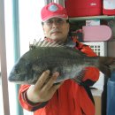 대자연낚시 이미지