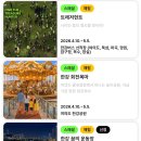 (주)게임스프링 | 지역축제 [ 서울스프링페스티벌 2026 - 여의도...한강 회전목마+촛불 정원 ) 일정 및 위치 | 체험 후기