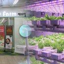 성장농장 이미지