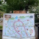 강화도산들애농원 캠핑장 | 🌿 인천 강화도 검디관광농원 캠핑장 1박 후기