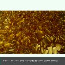 경도약국 - 남동구 호구포로535번길 48-2 | 뇌영양제 처방 vs 일반, 성분·복용방법·후기는 어떻게 다를까? (2026)