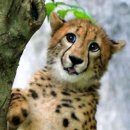 돈까스여행 이미지