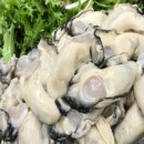 일등장터 이미지