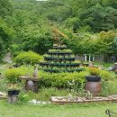 서오지리연꽃마을 이미지