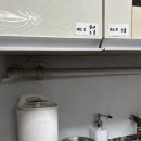 월오포레스트 이미지