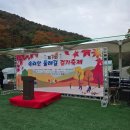 속리산둘레길 보은길4 | 속리산 둘레길 걷기축제 참가후기
