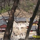 장곡민박산장 이미지