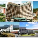 일성수영장 이미지