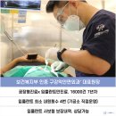 정치과 | 상악동 거상술후기 치조정 치과상악동거상술 과정