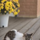 결운로_1 이미지